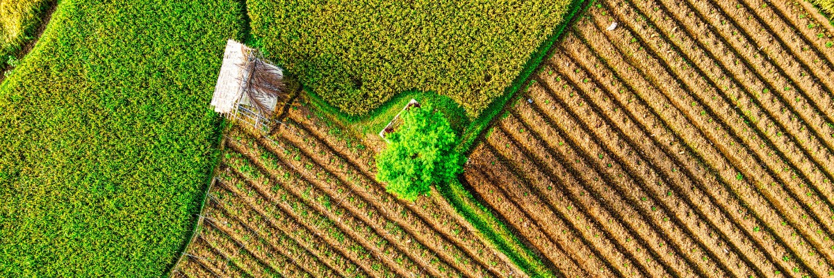 A Case Study in Sustainable Property Management: Reducing Our Environmental Impact